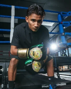 WBC By TITLE Boxing Green Belt Training Gloves 1.0 22 WBC By TITLE Boxing Green Belt Training Gloves 1.0 -Knockout Gear wgbtg bk 2 1