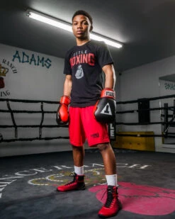 TITLE Boxing Pro Style Heavy Bag Gloves 15 TITLE Boxing Pro Style Heavy Bag Gloves -Knockout Gear xtsg bk rd 2